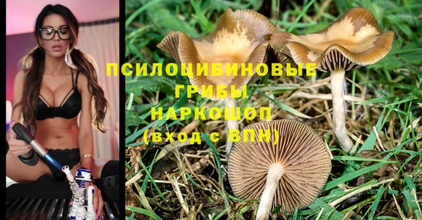 молекула духа Абаза