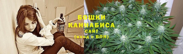 молекула духа Зеленокумск