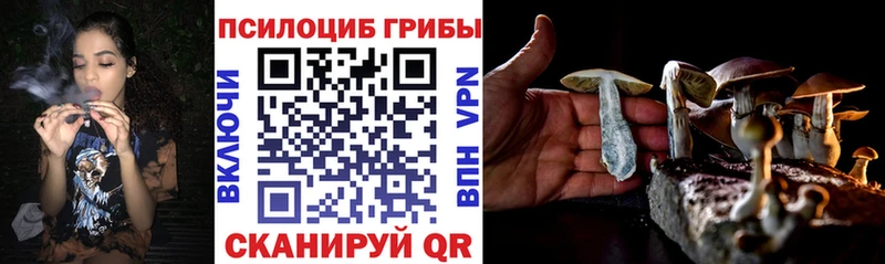 Галлюциногенные грибы GOLDEN TEACHER  Лысково 